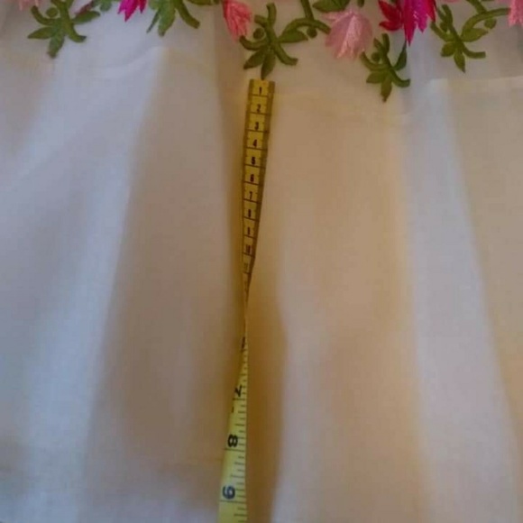 Vintage 1960s Organza Border Print Dress - Picture 5 of 8